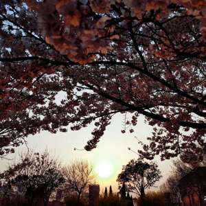 鸡巴干死小骚货视频
